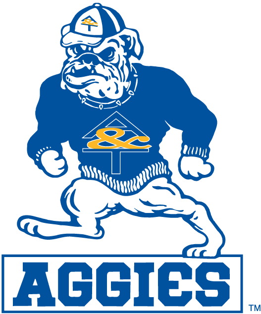 North Carolina A&T Aggies 1988-2005 Alternate Logo v2 iron on transfers for T-shirts